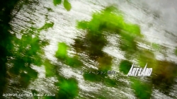 کارتون موشی شی - قسمت 8